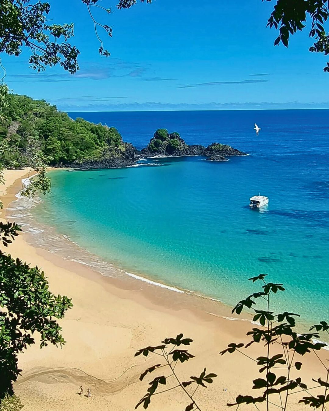 Ilha Tour — foto 4