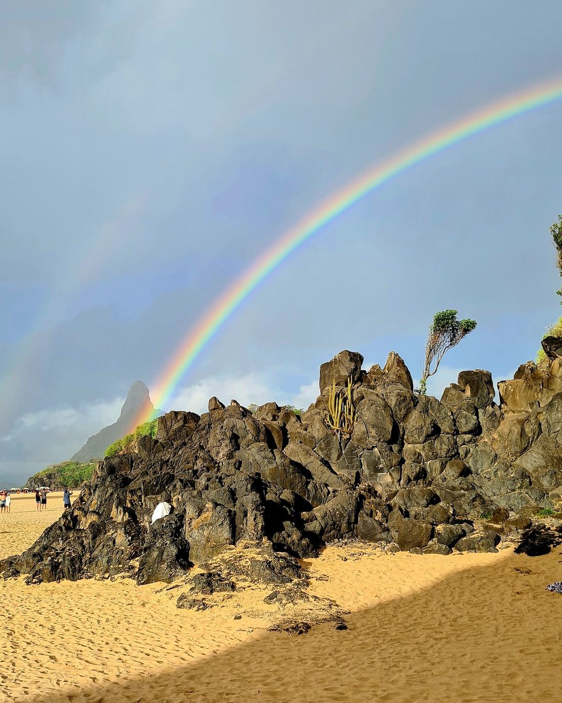 Dois Irmãos vista panorâmica