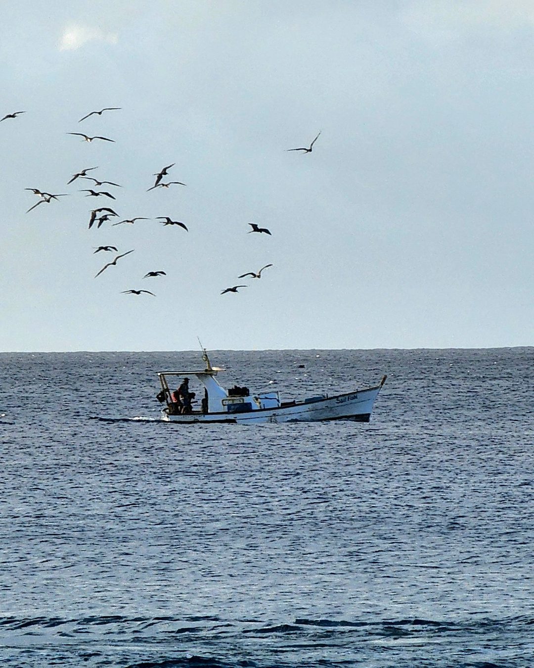 Pesca esportiva — foto 2
