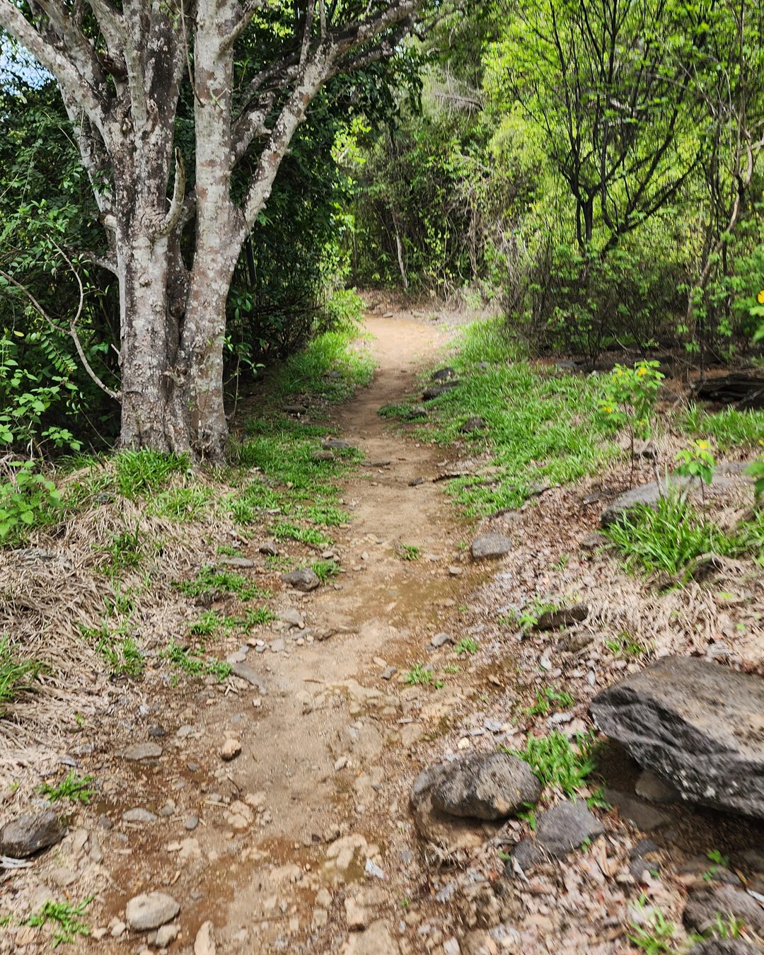 Trilhas & Terra — foto 5